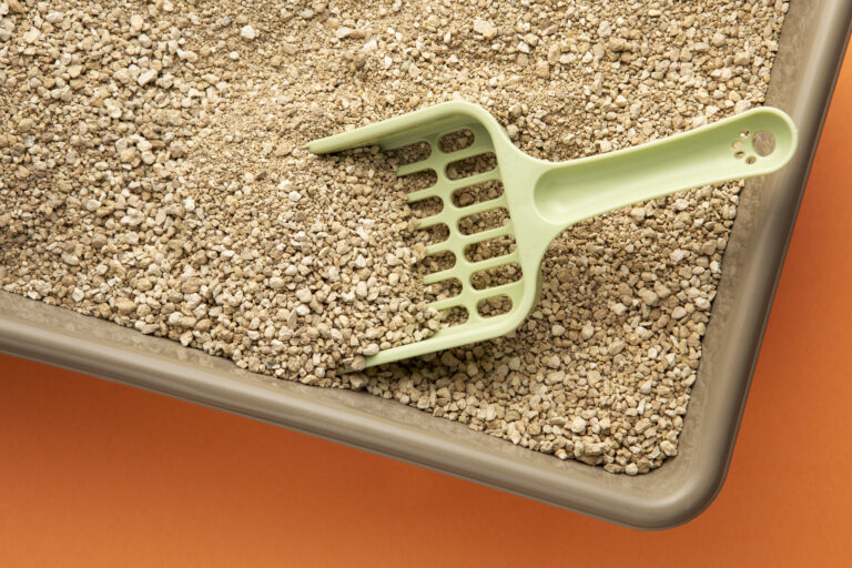 Lire la suite à propos de l’article N’utilisons plus le terme « malpropreté » !