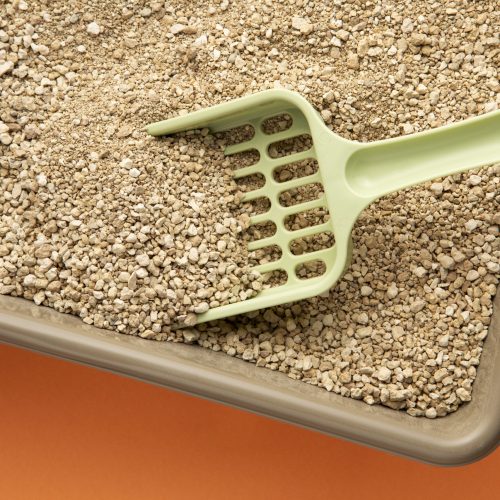 N’utilisons plus le terme « malpropreté » !